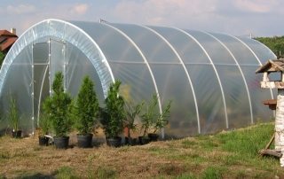 Greenhouse made of polypropylene pipes
